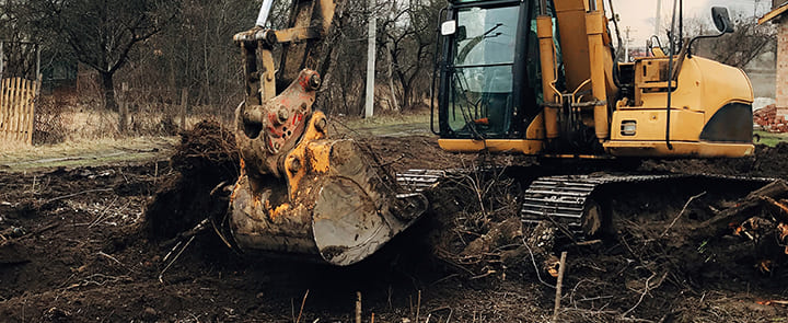 Défrichage de souches d'arbres à Trois-Rivière